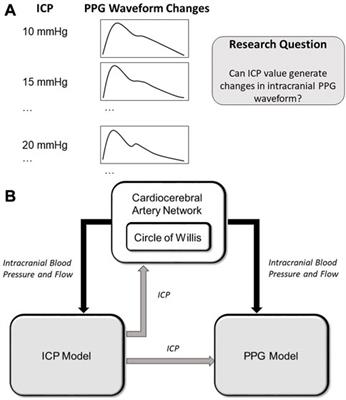 Effect of intracranial pressure on photoplethysmographic waveform in different cerebral perfusion territories: A computational study